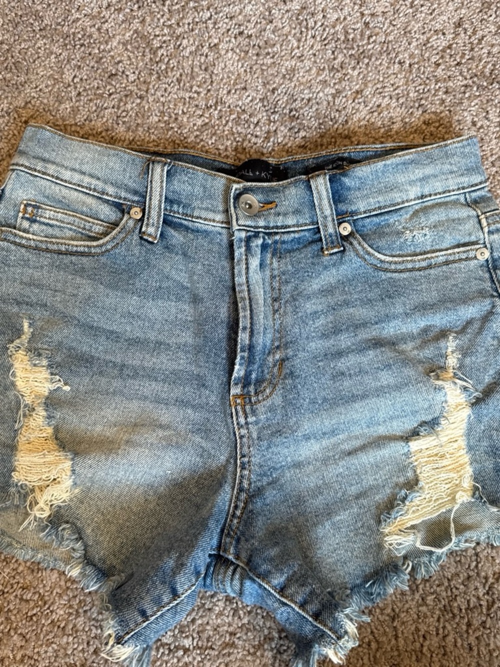 Kendall & Kylie Light Blue Denim Icon Short